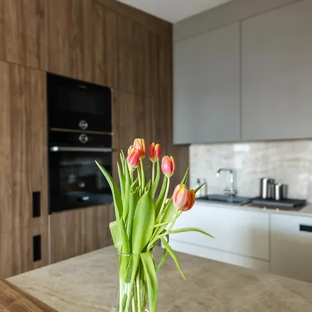 Apartament Luxury Daniela *